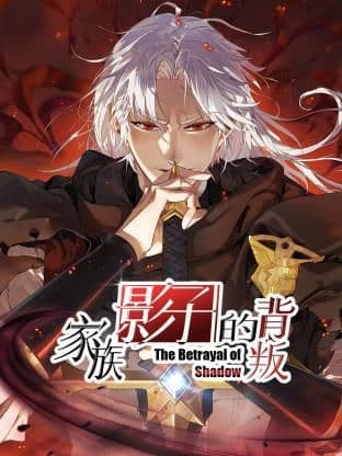 家族影子的背叛海报