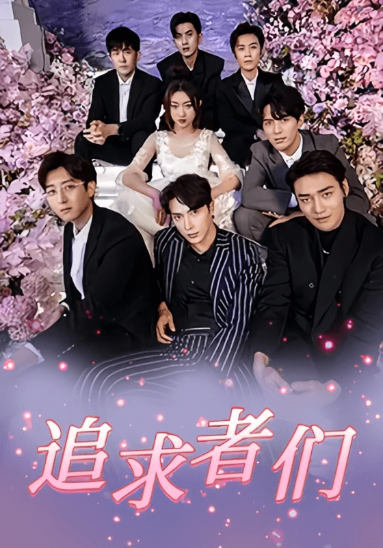 追求者们海报