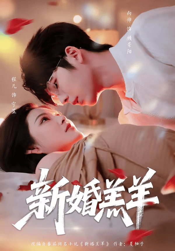 新婚羔羊海报