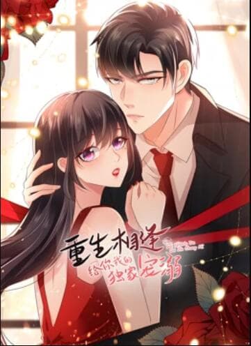 重生相逢:给你我的独家宠溺 动态漫画第二季海报