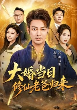 大婚当日修仙老爸归来海报